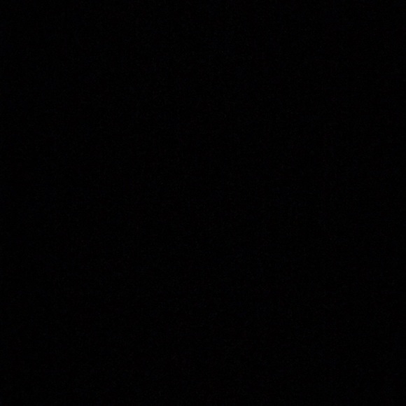 Meet your Posher, Bo - Picture 1 of 1